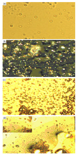 Image for - Decolorization and Characterization of Petroleum Emulsions