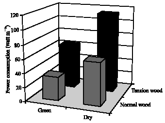 Image for - Optimizing the Cutting of Tension Wood in Rubberwood: An Economic and Quality Perspective