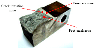 Image for - Micrographic Technique For Linear-Elastic Fracture Evaluation of Crack Initiation Zone