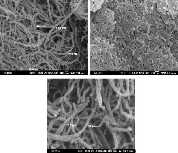 Image for - Immobilization of Chitosan onto Carbon Nanotubes for Lead Removal from Water