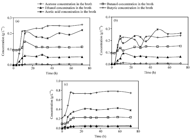 Image for - The Effect of Initial Butyric Acid Addition on ABE Fermentation by C. acetobutylicum NCIMB 619