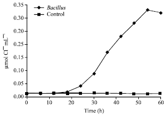 Image for - Biodegradation of Low Concentration of Monochloroacetic Acid-Degrading Bacillus sp. TW1 Isolated from Terengganu Water Treatment and Distribution Plant