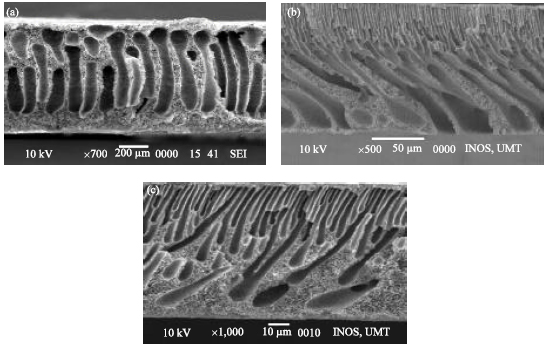 Image for - The Influence of Polymer Concentration on Performance and Morphology of Asymmetric Ultrafiltration Membrane for Lysozyme Separation