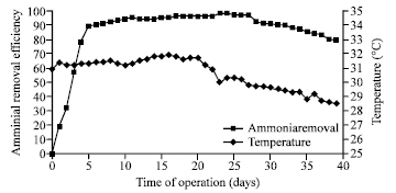 Image for - Effect of Filter Media Characteristics, pH and Temperature on the Ammonia Removal in the Wastewater