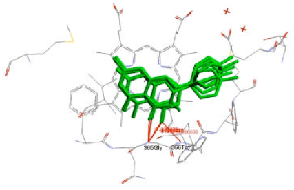 Image for - Docking Study of Quercetin Derivatives on Inducible Nitric Oxide Synthase and Prediction of their Absorption and Distribution Properties
