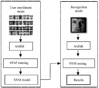 Image for - Classification using Adaptive Multiscale Retinex and Support Vector Machine for Face Recognition System