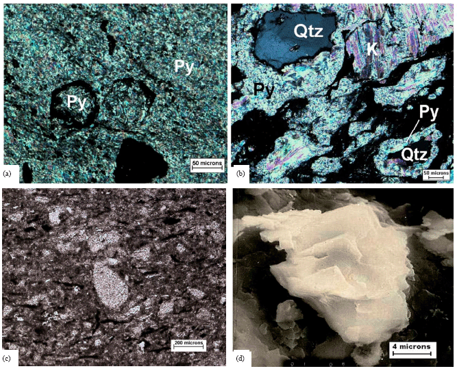Image for - Microscale Diagnostic Diagenetic Features in Neoproterozoic and Ordovician Units, Tandilia Basin, Argentina: A Review