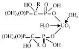 Image for - The Solvent Extraction of Uranium (VI) using Hydroxyalkylenediphosphonic Acids