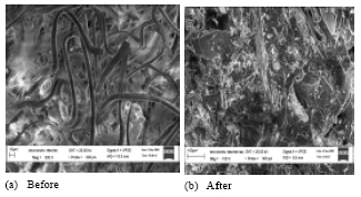 Image for - Oil Palm Bio-Fiber Reinforced Thermoplastic Composites-Effects of Matrix Modification on Mechanical and Thermal Properties