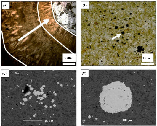 Image for - Petrography and Geochemical Signatures in Cracks Filling Calcite Sequences in Septarian Concretions, Sanganeh Formation, Kopet-Dagh Basin, NE Iran