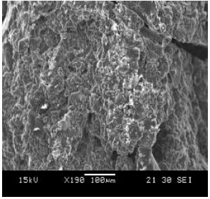 Image for - Application of Multiwalled Carbon Nanotube-Cyclodextrin Polymers in the Removal of Heavy Metals from Water