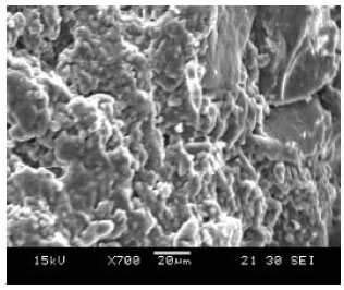 Image for - Application of Multiwalled Carbon Nanotube-Cyclodextrin Polymers in the Removal of Heavy Metals from Water