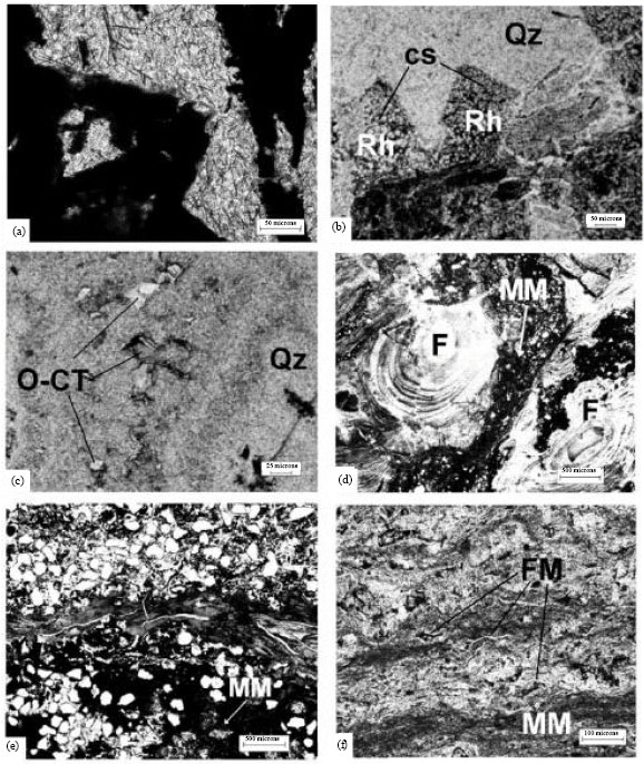 Image for - Preservation of Biogenerated Mixed Facies: A Case Study from the Neoproterozoic Villa Mónica Formation, Sierra La Juanita, Tandilia, Argentina