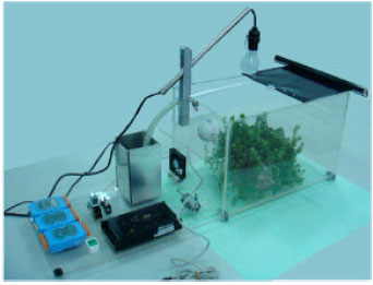 Image for - An Automatic Thermal Control for a Greenhouse Using Network Remote Control System