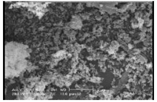 Image for - Comparison of Synthesis and Purification of Carbon Nanotubes by Thermal Chemical Vapor Deposition on the Nickel-Based Catalysts: NiSio2 and 304-Type Stainless Steel