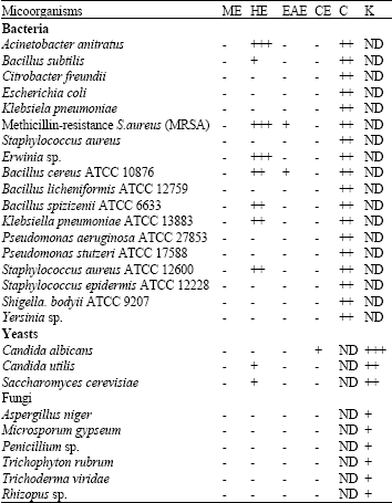 Image for - Antimicrobial Activity of Various Extracts of a Tropical Chlorophyta Macroalgae, Halimeda discoidea