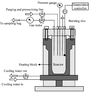 Image for - Gasification of Oil Palm Empty Fruit Bunch Fibers in Hot Compressed Water for Synthesis Gas Production