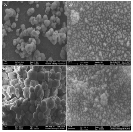 Image for - Synthesis and Characterization of Pure Anatase TiO2 Aggregates