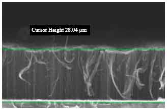 Image for - Piezoresistive Effect of Aligned Multiwalled Carbon Nanotubes Array