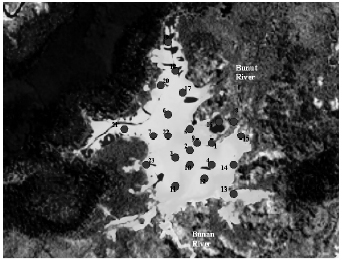 Image for - The Best-Fit Model to Predict Spatial Sedimentation Rates at Loagan Bunut Lake, Miri, Sarawak