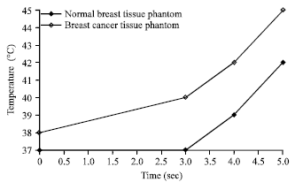 Image for - Image Enhancement by Microwave Double Irradiation for Early Diagnosis of Breast Carcinoma