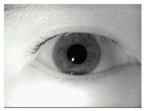 Image for - Hardware Approach of ANN Based Iris Recognition for Real-time Biometric Identification