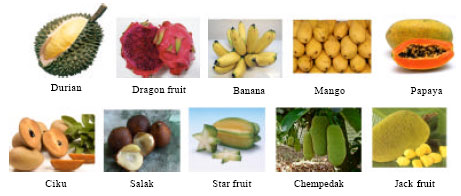 Image for - Drying Studies of Tropical Fruits Cultivated in Malaysia: A Review