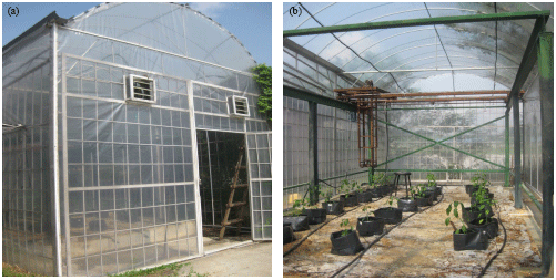 Image for - Development of Control Program for Plant Growth Parameter Analysis in Lowland Tropical Greenhouse
