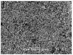 Image for - Effect of Machining Parameters on Surface Roughness During Wet and DryWire-EDM of Stainless Steel