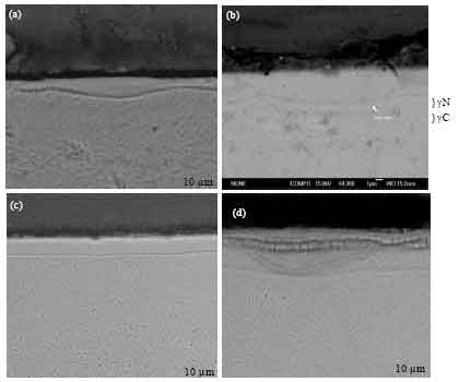 Image for - Structural and Properties Development of Expanded Austenite Layers on AISI 316L after Low Temperature Thermochemical Treatments