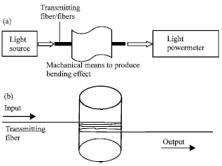 Image for - Investigation of Rolling Loss Mechanisms in Plastic Optical Fibers