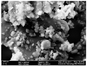 Image for - Effect of Boric Acid with Kaolin Clay on Thermal Degradation of Intumescent Fire Retardant Coating