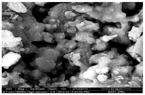 Image for - Effect of Boron Carbide Addition on the Physical, Mechanical and Microstructural Properties of Portland Cement Concrete