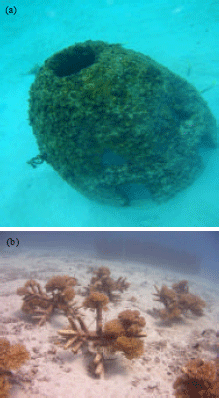 Image for - Distribution and Diversity of Corals on Artificial Reefs at Pasir Akar and Teluk Kalong, Redang Island, Malaysia