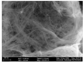 Image for - The Effects of Hydrothermal Growth Parameters on Titanium Dioxide Nanomaterial