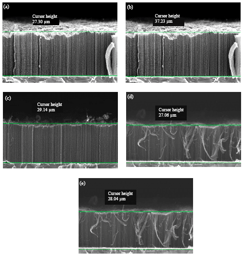 Image for - Sandwich Growth of Aligned Carbon Nanotubes Array using Thermal Chemical Vapor Deposition Method