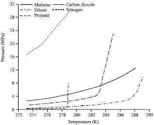Image for - Purification of Natural Gas with High CO2 Content by Formation of Gas Hydrates: Thermodynamic Verification