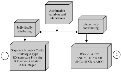 Image for - Identify Attributable Variables and Interactions in Breast Cancer