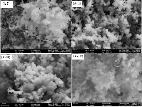 Image for - Effect of Surfactant Concentration on the Physico-chemical Characteristics of Mesoporous Molecular Sieve
