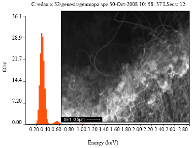 Image for - Sandwich Growth of Aligned Carbon Nanotubes Array using Thermal Chemical Vapor Deposition Method