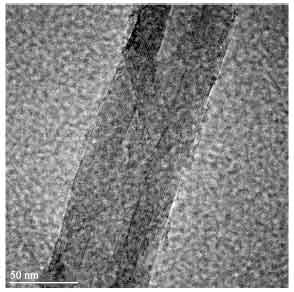 Image for - Piezoresistive Effect of Aligned Multiwalled Carbon Nanotubes Array