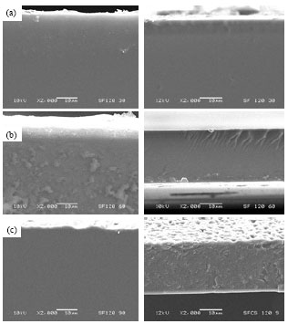 Image for - The Effect of Temperatures and Incubation Times on Some Properties of Silk Fibroin/Chitosan Blend Films