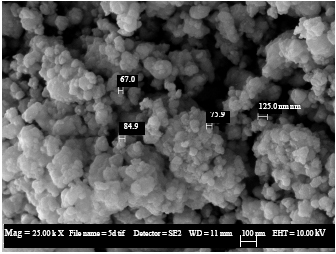 Image for - Comparison of Mechanical Properties and Magnetic Properties of Mn0.8Zn0.2Fe2O4 Synthesized by Conventional Ball Milling and Self Combustion Method