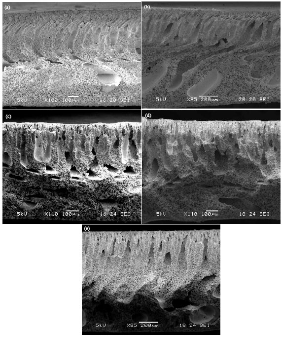 Image for - Effect of Kaolin/pesf Ratio and Sintering Temperature on Pore Size and Porosity of the Kaolin Membrane Support