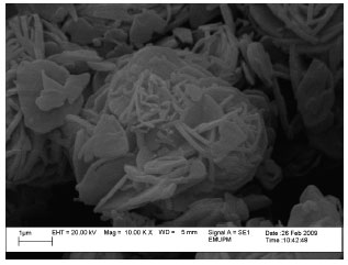 Image for - Synthesis of Nanostructured Vanadium Phosphate Catalysts using Sonochemical Route for Partial Oxidation of n-Butane
