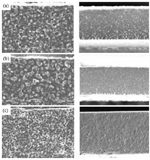 Image for - The Effect of Temperatures and Incubation Times on Some Properties of Silk Fibroin/Chitosan Blend Films