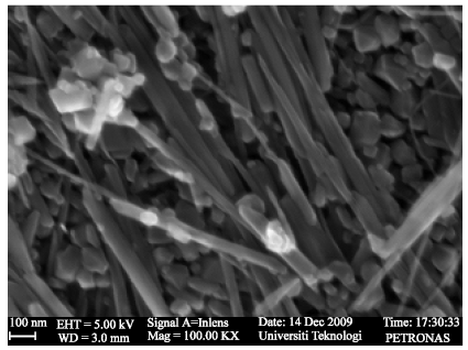 Image for - Preparation of Electrochromic Material Using Carbon Nanotubes (CNTs)