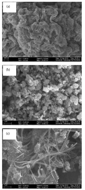 Image for - The Effects of Hydrothermal Growth Parameters on Titanium Dioxide Nanomaterial