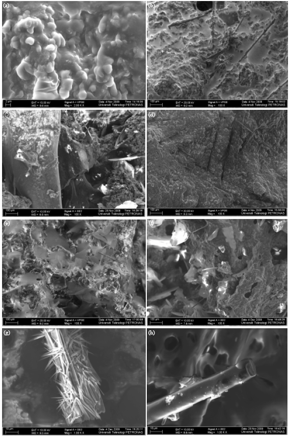 Image for - Study on the Fibre Reinforced Epoxy-based Intumescent Coating Formulations and their Char Characteristics