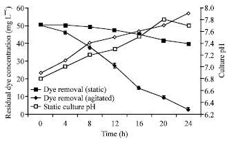 Image for - Assessment of Bio Elimination and Detoxification of Phenothiazine Dye by Bacillus firmus in Synthetic Wastewater under High Salt Conditions